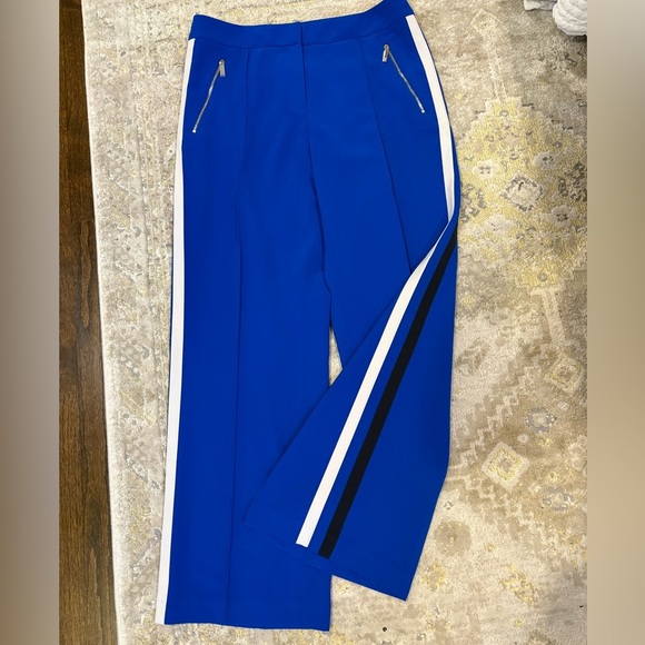 Ted Baker London Blue Stripe Pants - Picture 8 of 14